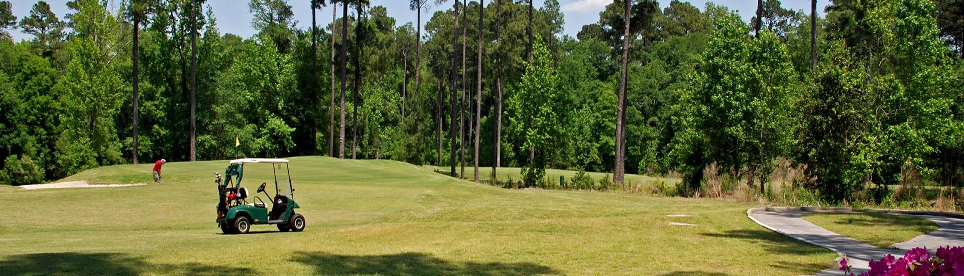 Brazells Creek Golf Course at Jack Hill (Gordonia) State Park