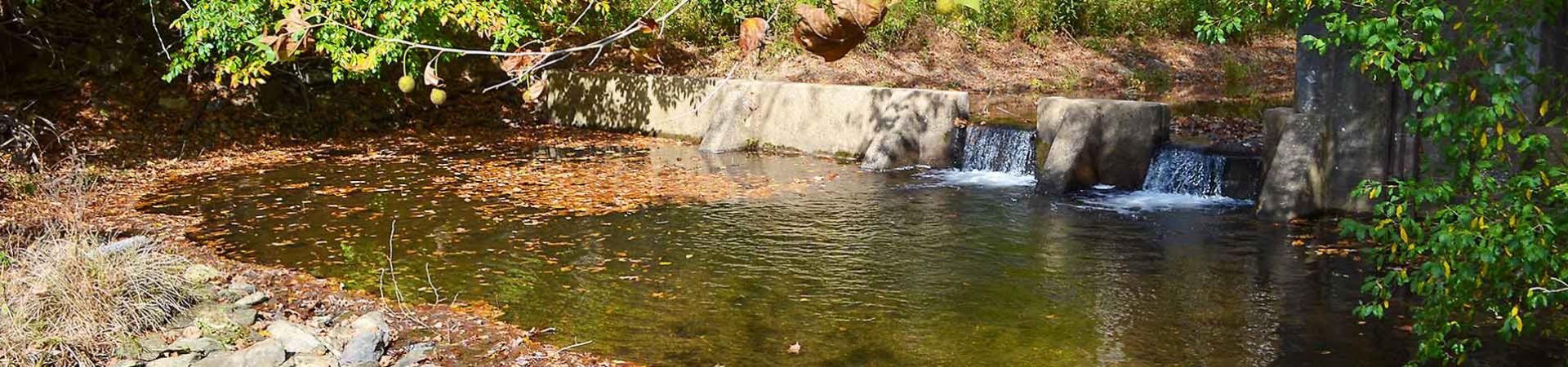 Stream by Campsite