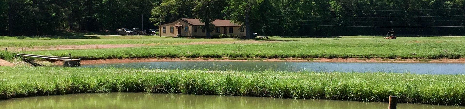 Hatchery Stock Pond
