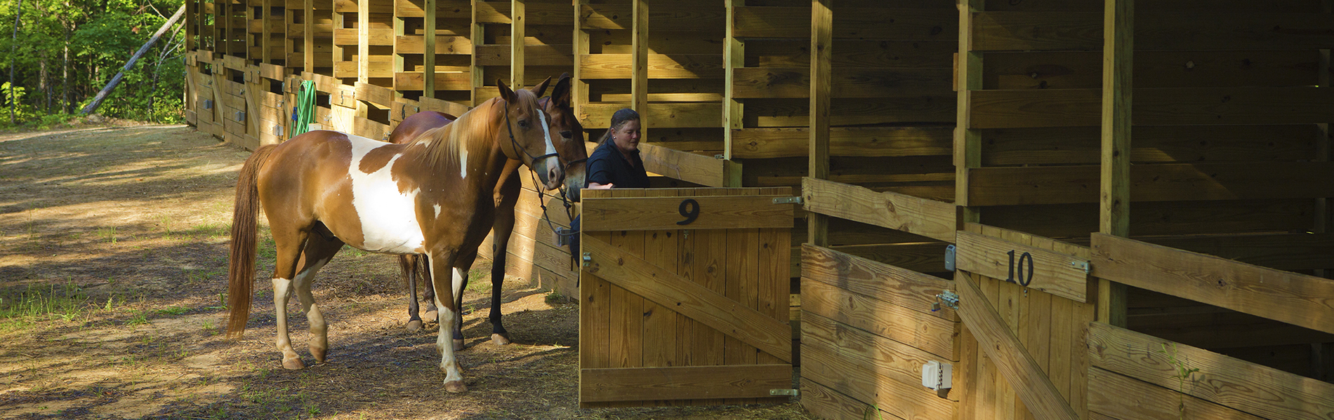 Campgrounds with horseback outlet riding near me