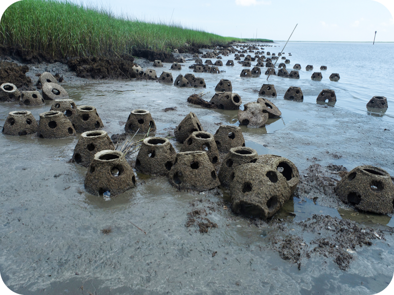 Inshore Artificial Reefs