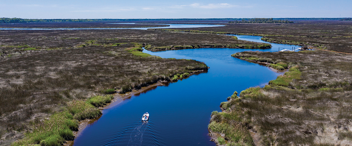 Marsh scene in Camden County. Photo by Ashley Alexander.