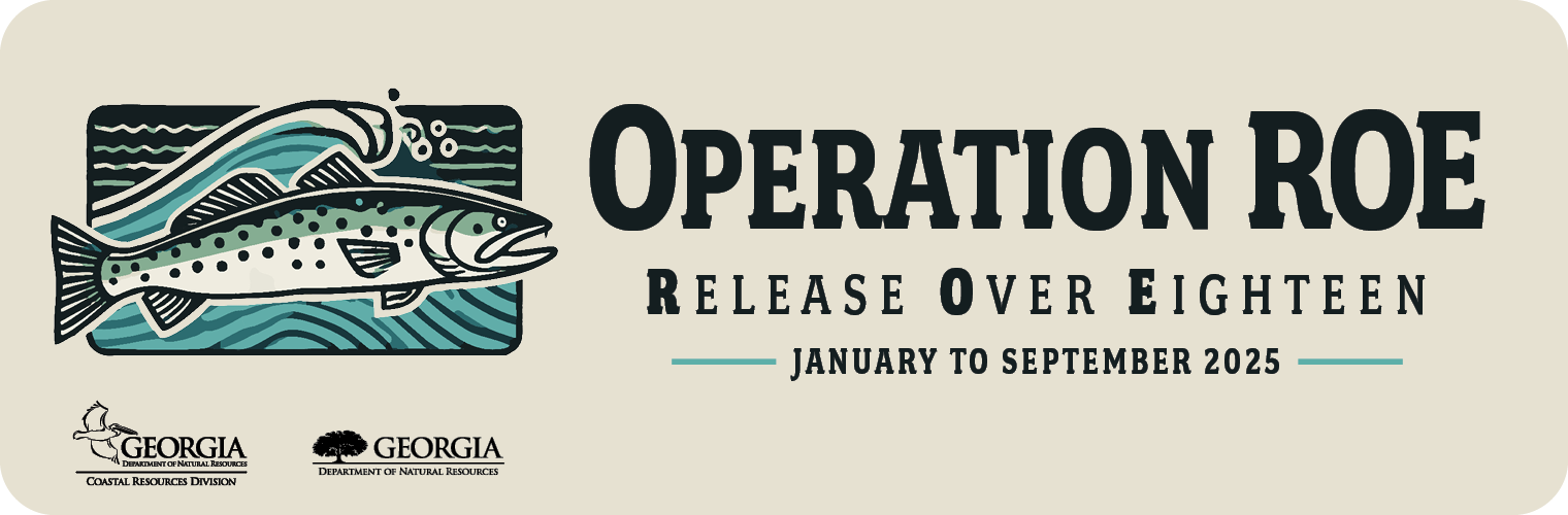 Operation ROE: Release Over Eighteen