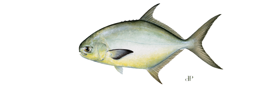 Pompano (Florida)