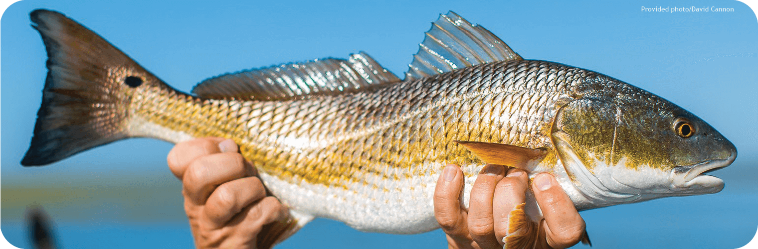 Recreational Saltwater Fishing