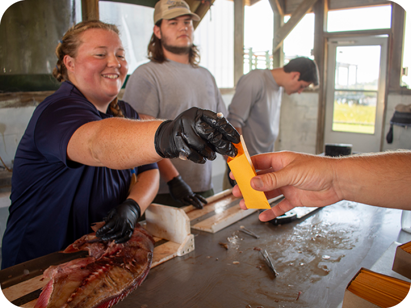 Marine Sportfish Carcass Recovery Project