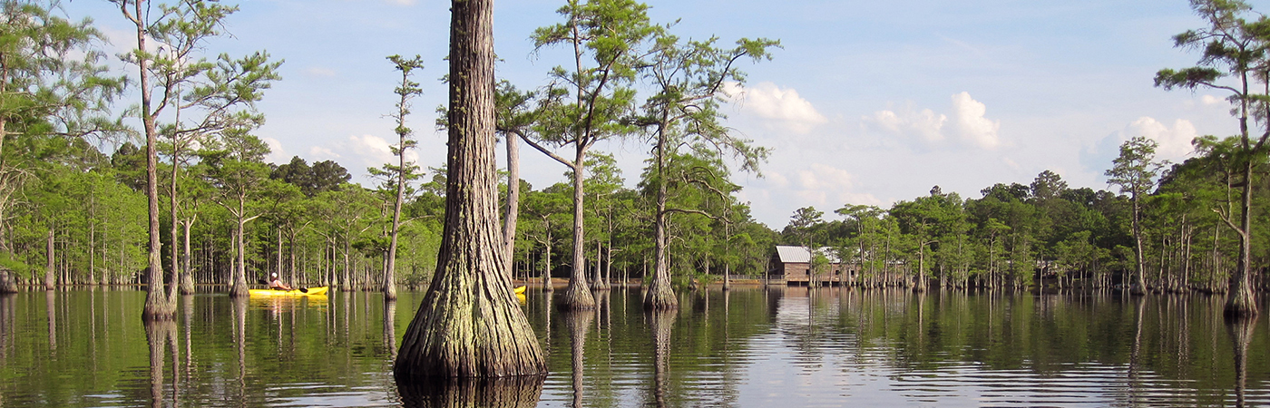 George L. Smith State Park