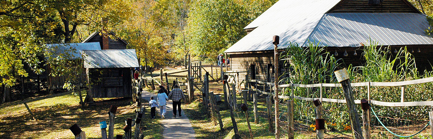 Jarrell Plantation State Historic Site