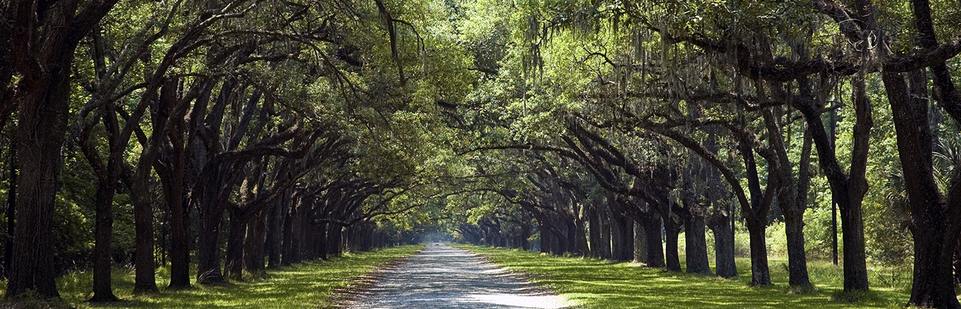 Wormsloe State Historic Site