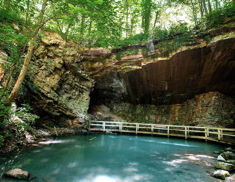 High Falls Flatheads With The Sultan Of Slime – Georgia Outdoor News