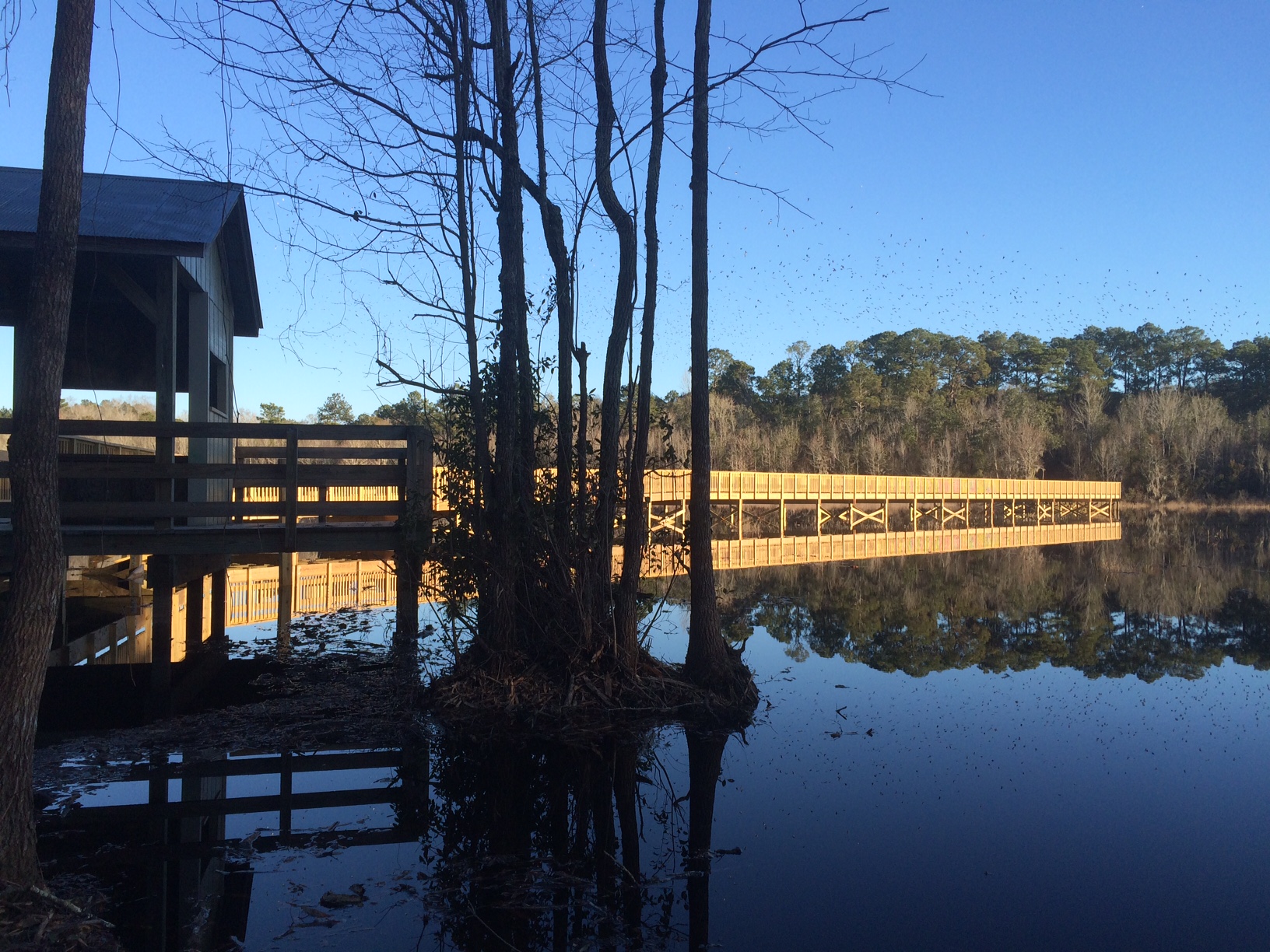 Boardwalk & Lake