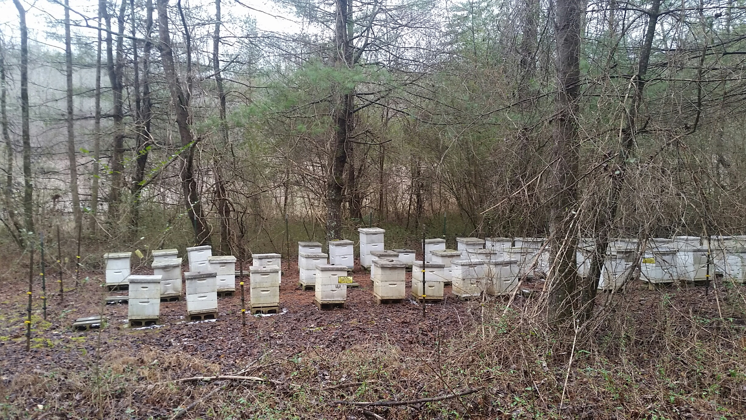 Apiaries