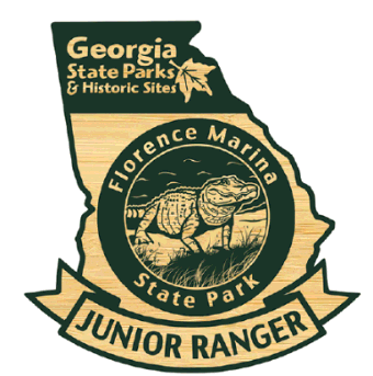 Junior Ranger Badge