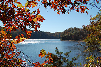 https://gastateparks.org/sites/default/files/parks/images/leafwatch/Don%20Carter%20lake%20red%20leaves%20DSC_0186.jpg