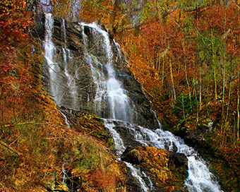 Amicalola Falls