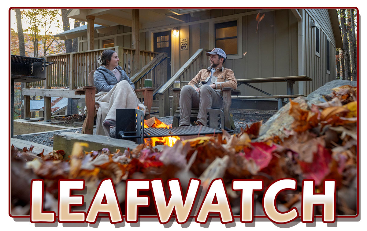 Leaf Watch