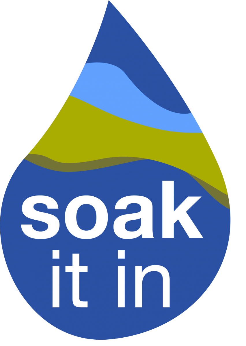 Soak It In Logo