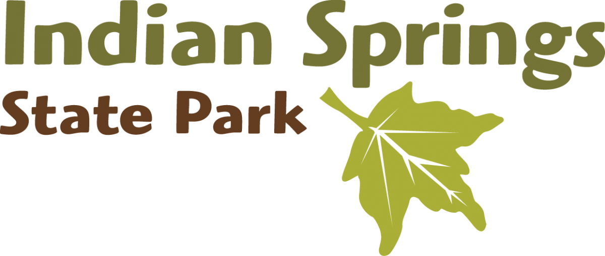 Indian Springs State Park Department Of Natural Resources Division