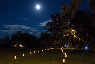 park at night