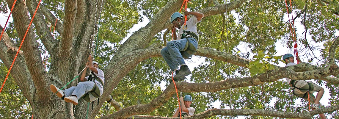 Tree Climbing At Panola Mountain