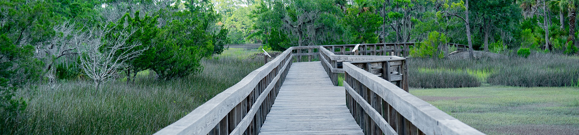 Skidaway Island