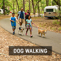 Dog Walking