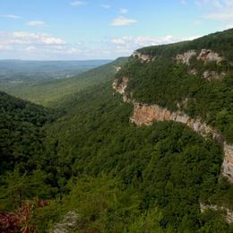 Georgia State Park Locations