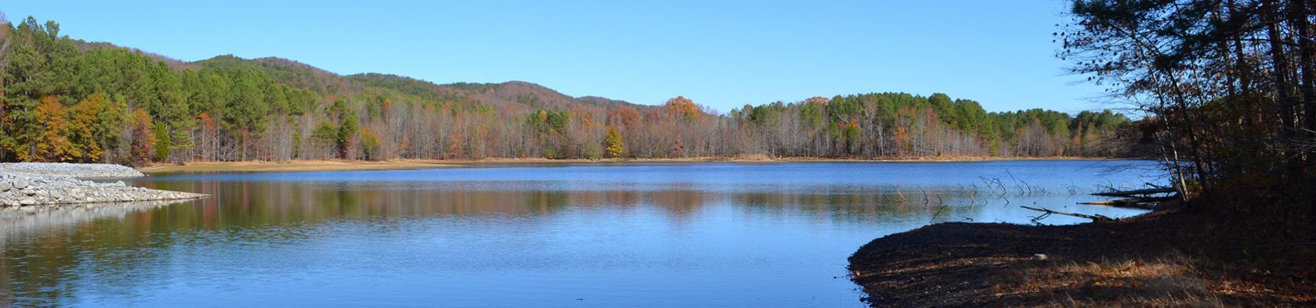 Lake in Winter