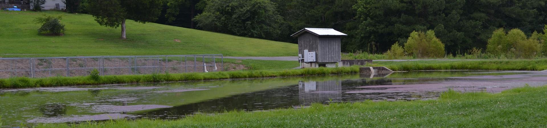 Summerville Hatchery Pond