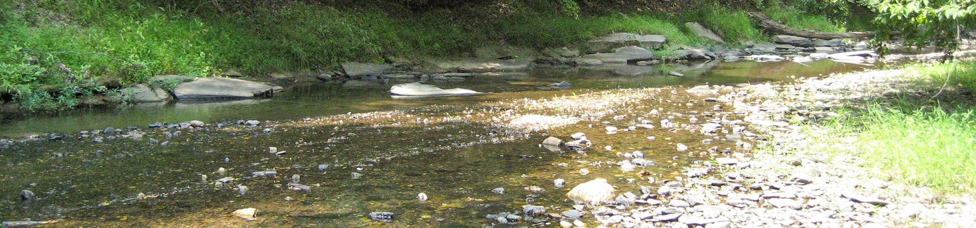 Sheffield Creek