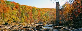 Sweetwater Creek State Park | Department Of Natural Resources Division