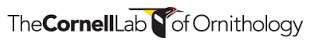 Cornell Lab Logo